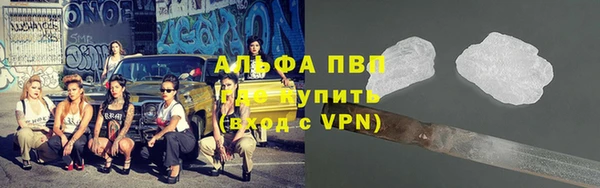 ПСИЛОЦИБИНОВЫЕ ГРИБЫ Козловка