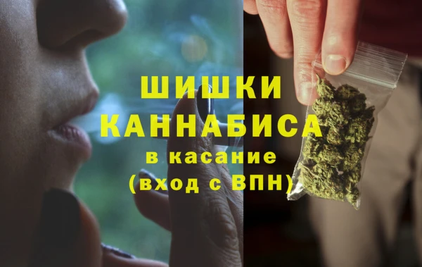 мдпв Кодинск