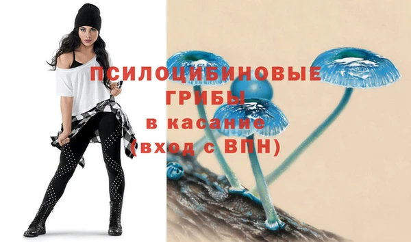 ПСИЛОЦИБИНОВЫЕ ГРИБЫ Козловка