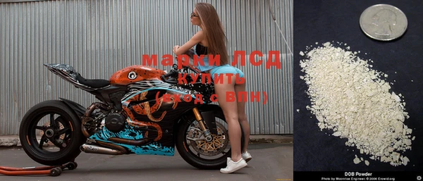 мдпв Кодинск