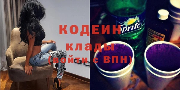 мдпв Кодинск