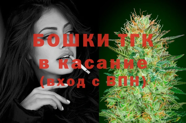 мдпв Кодинск