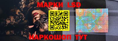 дмт Кингисепп