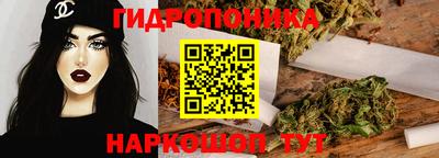дмт Кингисепп