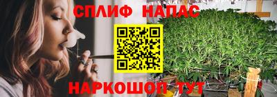 трава Кимры