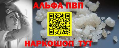 дмт Кингисепп