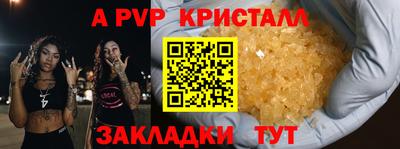 дмт Кингисепп