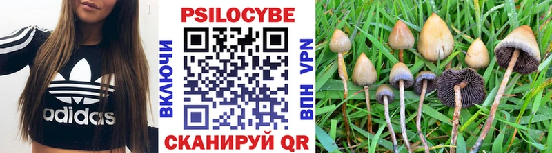 Псилоцибиновые грибы MAGIC MUSHROOMS  Хасавюрт 
