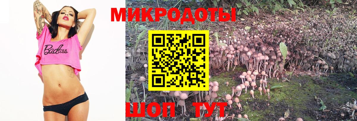 Галлюциногенные грибы GOLDEN TEACHER  наркота  Хасавюрт  Вход с VPN 