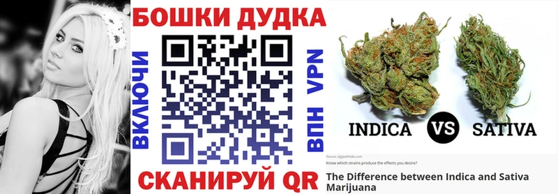 где можно купить наркотик  МЕГА tor  Каннабис сатива  Хасавюрт 